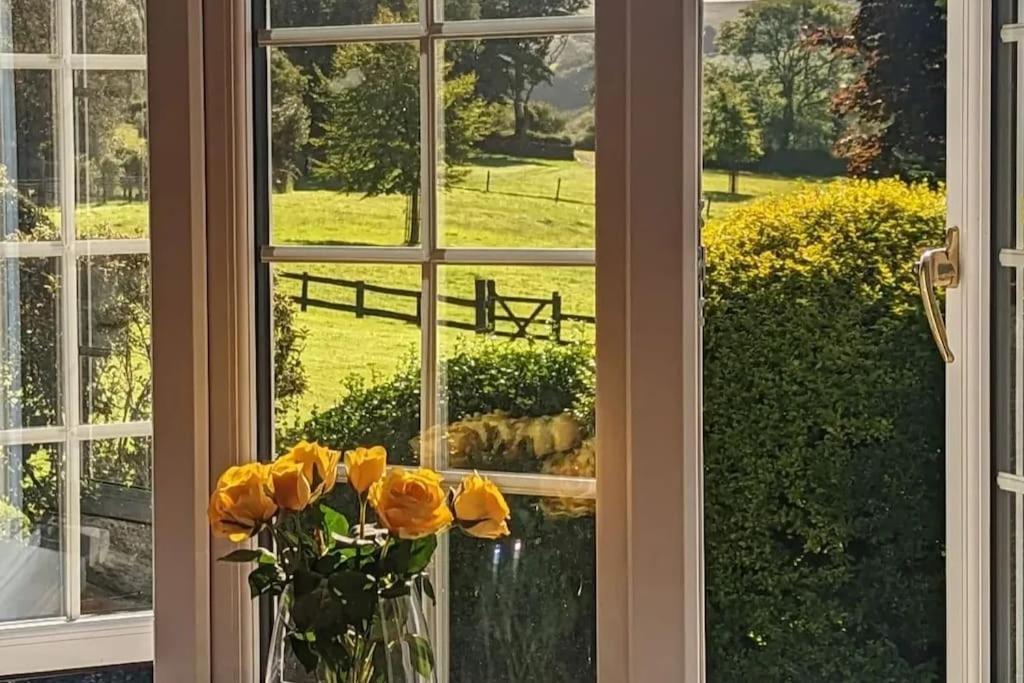 Lower Willsworthy Cottage Tavistock  Dış mekan fotoğraf