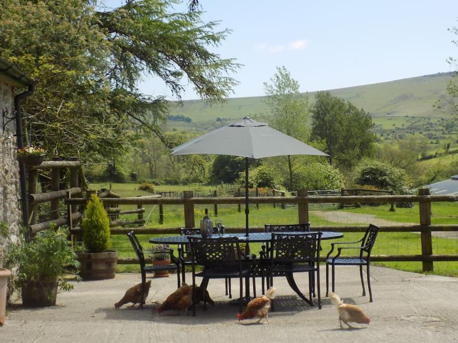 Lower Willsworthy Cottage Tavistock  Dış mekan fotoğraf